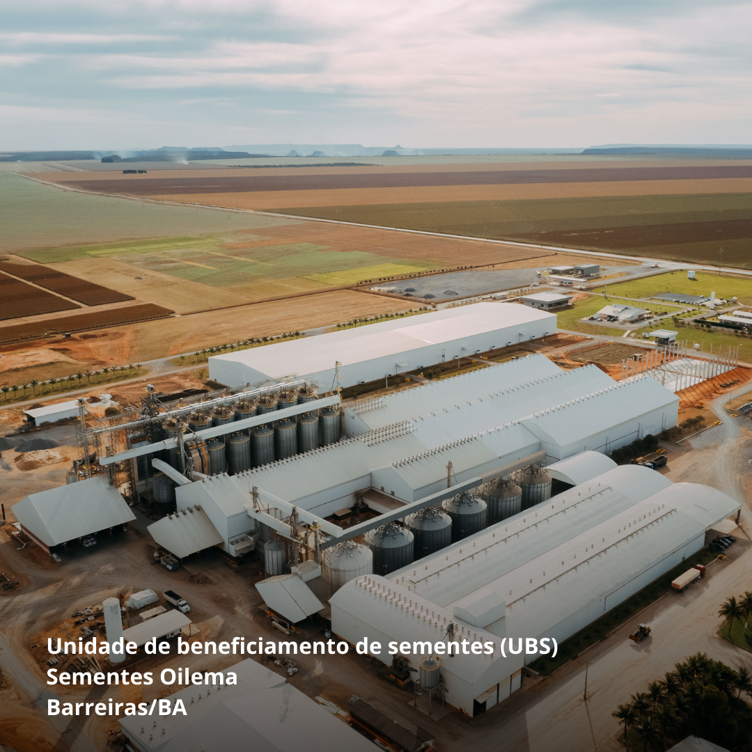 Matopiba: de onde vêm sementes de confiança!